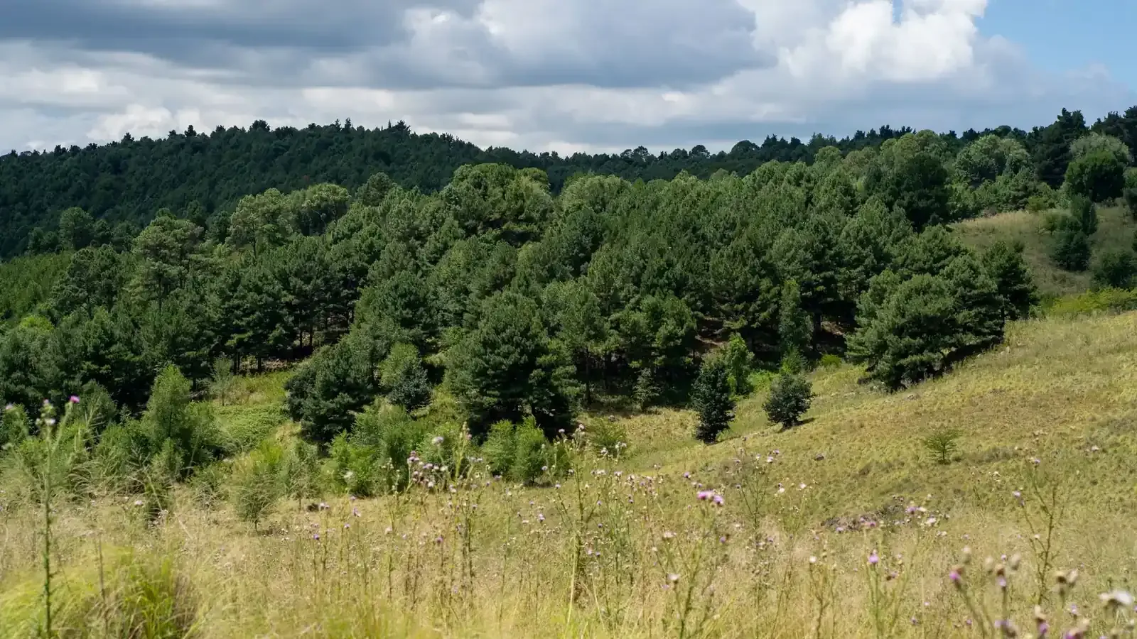 Sierras de Córdoba